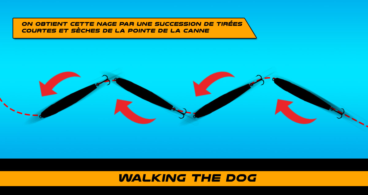 walking the dog WTD leurre stickbait flottant surface gros brochet bar loup mer