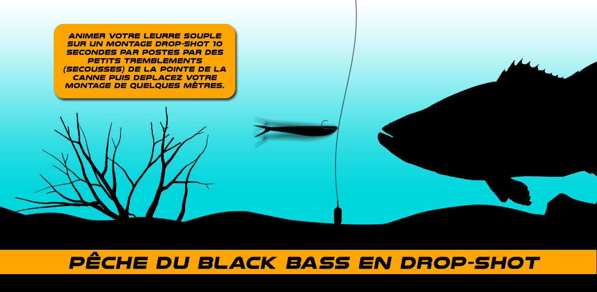 pêche du black bass au leurre