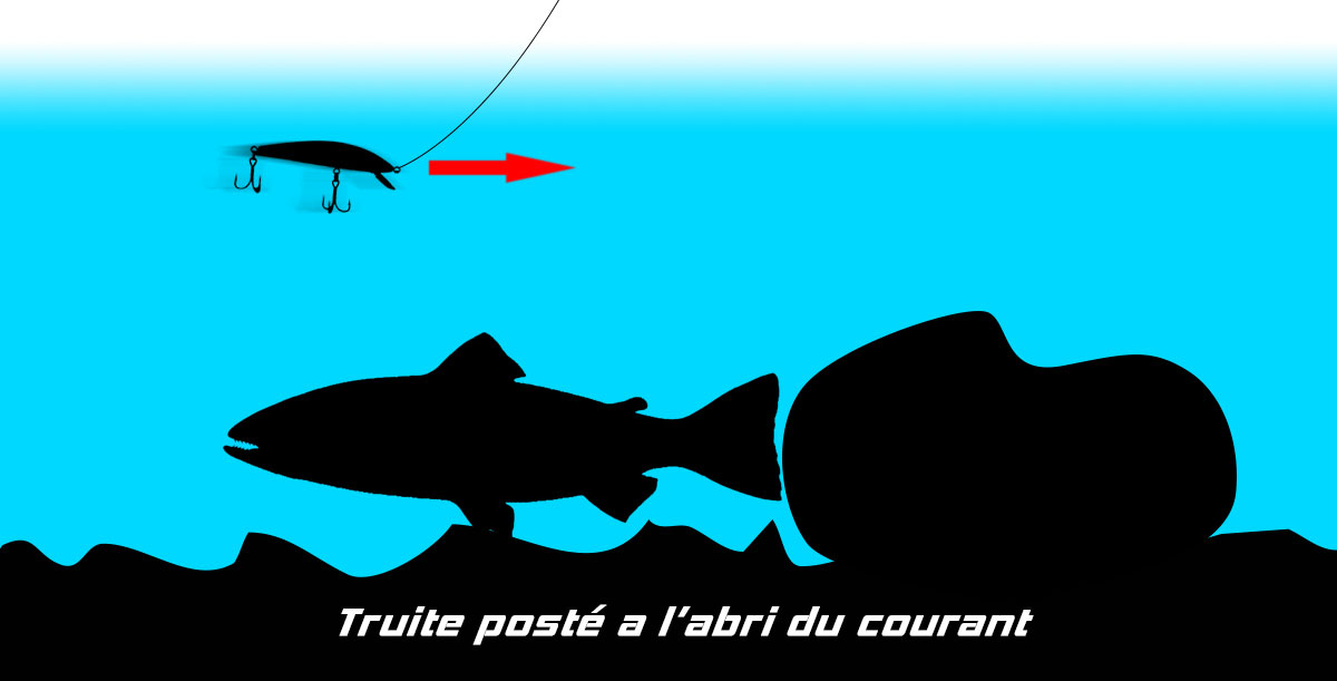comment choisir couleur leurre pecher truite fario arc en ciel riviere ouverture peche 1ere categorie jerkbait minnow poisson nageur bavette profondeur coulant